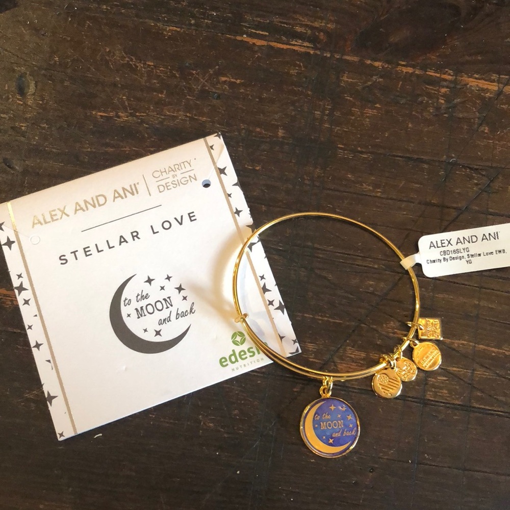 Alex and Ani Charm Bracelet